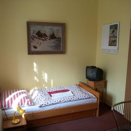 Pension U Dolezalu Брно Номер фото